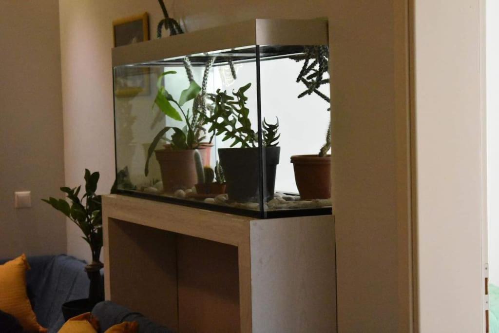 Central Apartment أثينا المظهر الخارجي الصورة