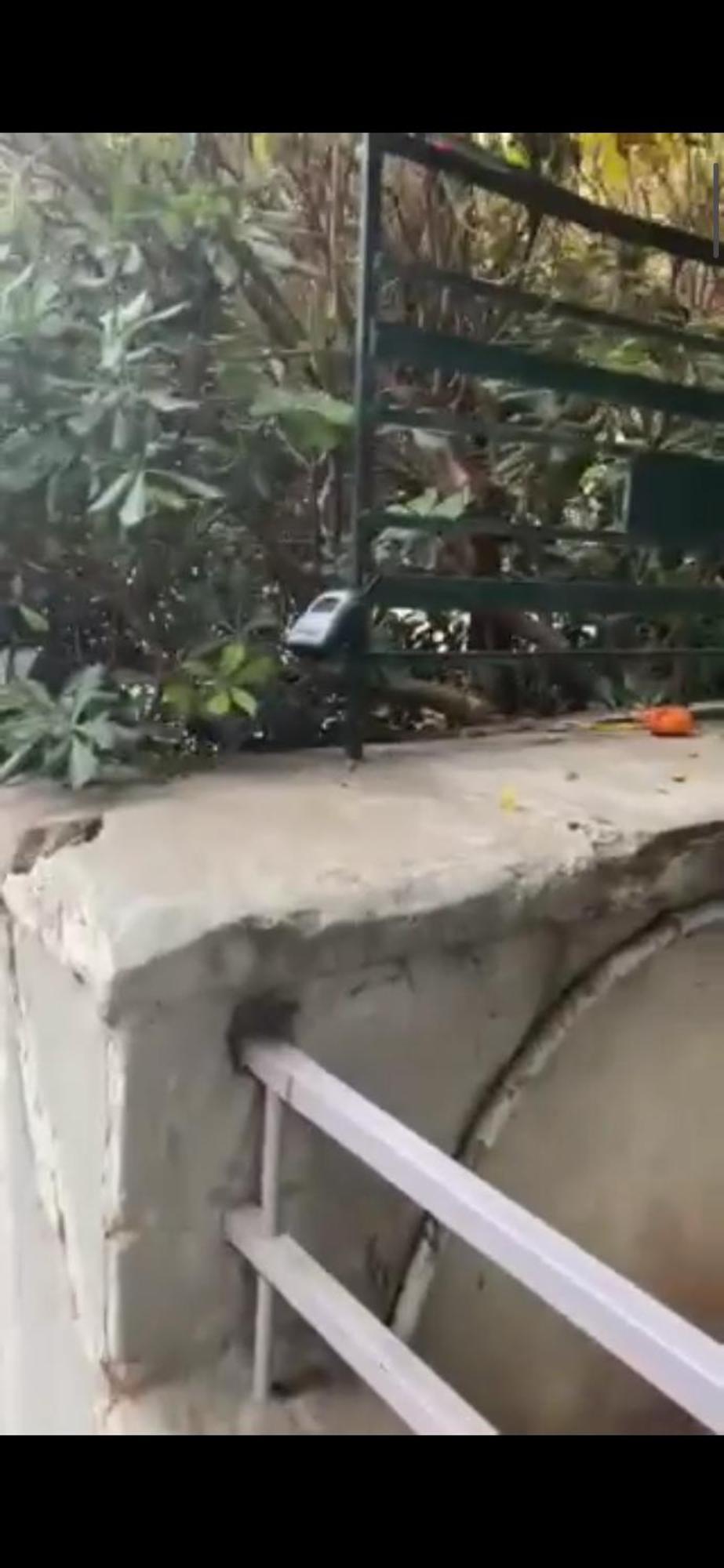 Central Apartment أثينا المظهر الخارجي الصورة